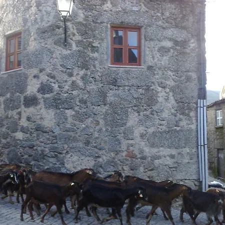 Casa Do Mocho